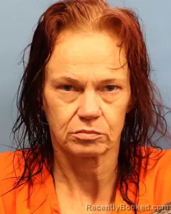 Mugshot of DANA CHARLENE HODGES