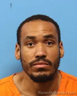 Mugshot of RONALD YOUNG