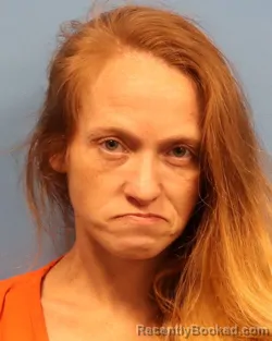 Mugshot of BRITTANY NICOLE JOHNSON