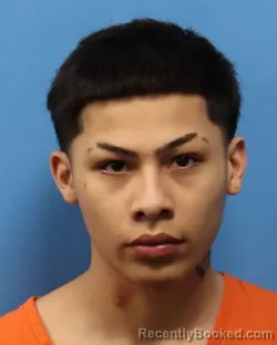 Mugshot of JOSIAH MITCHELL GREER