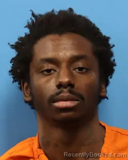 Mugshot of CARLO M METTS