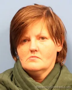 Mugshot of LASHEENA STAR CHASTINE