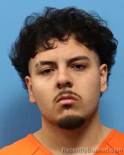 Mugshot of JOSE MEJIA