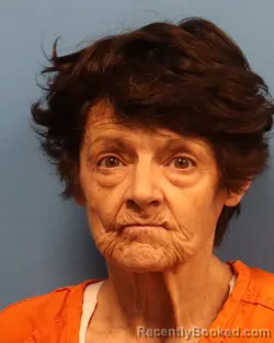 Mugshot of LISA BOWLIN LIGHT