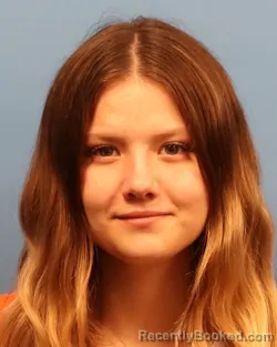 Mugshot of ERICA FAITH VICE