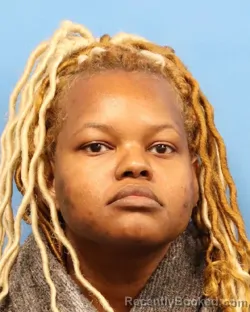 Mugshot of BRIANCA SHARDAE WILSON booked in Shelby County, Alabama on April 2, 2026