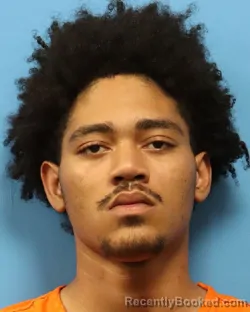 Booking photo from Shelby County, Alabama