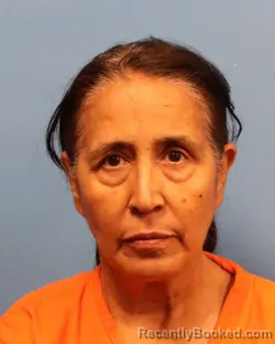 Mugshot of LILIANA ISOPI MOLINA booked in Shelby County, Alabama on April 29, 2026