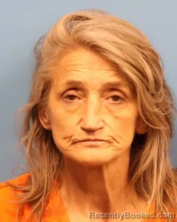 Mugshot of DORIS ALLISON WILSON booked in Shelby County, Alabama on May 11, 2026