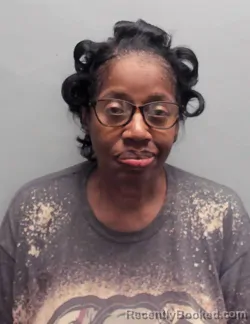 Mugshot of BARBARA ANN CHATMAN