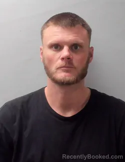 Mugshot of TRAVIS LEE COLLINS