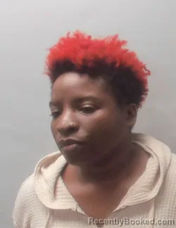 Mugshot of TANISHA SHANEA GOODEN