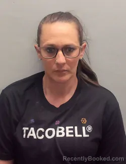 Mugshot of JESSICA LYNNE HAMILTON