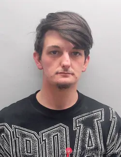 Mugshot of JOHN LUCAS HOLLINGSWORTH