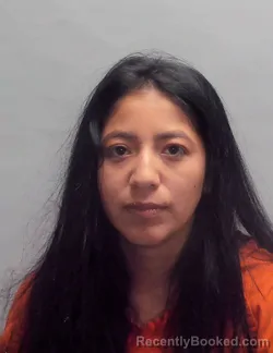 Mugshot of LUCERO DE JESUS