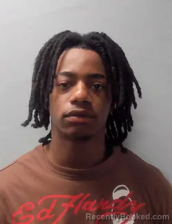 Mugshot of RAPHEALE LORENZA JOHNSON