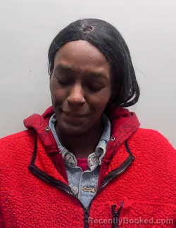 Mugshot of ANGELICA MICHELLE KELLEY