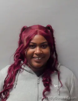 Mugshot of BRYANA KALSER