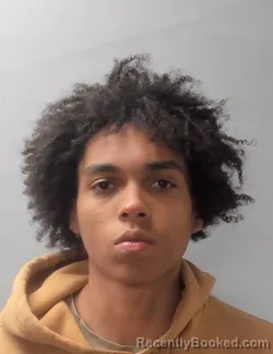 Mugshot of LAWRENCE REAGAN RIGGS