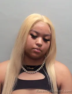 Mugshot of JANESSA LYNN SIMMONS