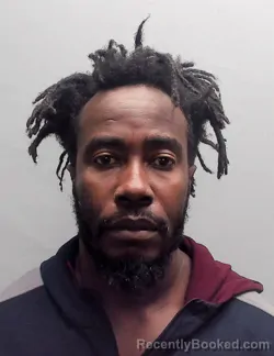 Mugshot of REGINALD TOUSSAINT
