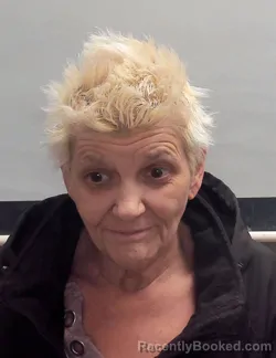 Mugshot of TONI LYNN TIDMORE