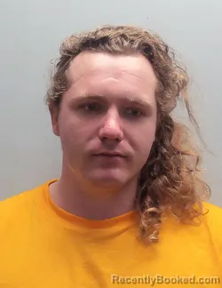 Mugshot of TRISTEN LENDON WHITTEN