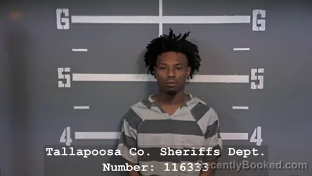 Mugshot of TORY HILL booked in Tallapoosa County, Alabama on March 29, 2026