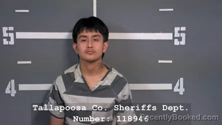 Mugshot of KEVIN ANTHONY BRENIS