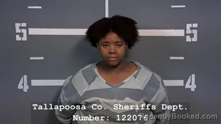 Mugshot of BROOKLYN T SHUN TERRELL