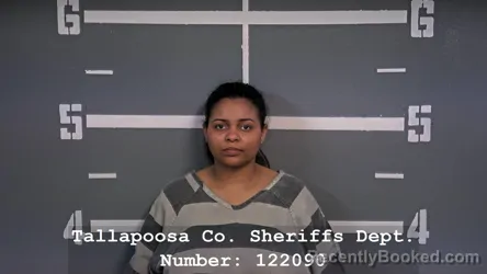 Mugshot of AMBER NICOLE HILSON