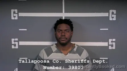 Mugshot of DESMOND MARQUEZ SHEALEY booked in Tallapoosa County, Alabama on March 18, 2026