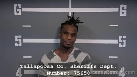 Mugshot of DELON MATRAY HERRON