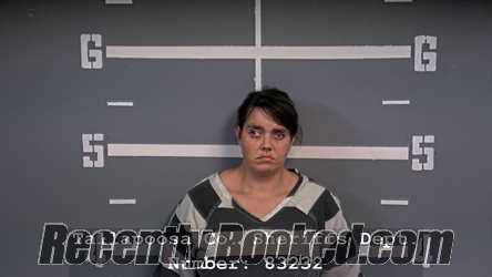 Mugshot of HOLLIE STARR ROBERSON HOOKS