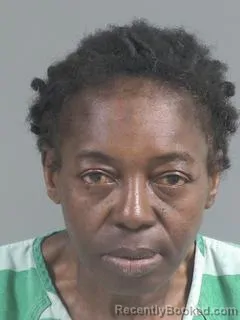 Mugshot of MARIE ELAINE WRIGHT booked in Charleston County, South Carolina on March 25, 2026