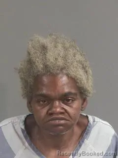 Mugshot of Cynthia Elaine Heyward booked in Charleston County, South Carolina on August 31, 2026