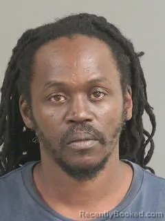 Mugshot of THEO MAURICE SEABROOK booked in Charleston County, South Carolina on March 26, 2026