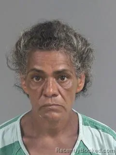 Mugshot of LYDIA AURAROA ESPINOZA-BANUELAS booked in Charleston County, South Carolina on July 22, 2026
