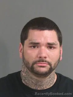 Mugshot of ANTHONY LYLE SWEAT booked in Charleston County, South Carolina on March 20, 2026