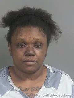 Mugshot of GARDELLA NELSON JACKSON booked in Charleston County, South Carolina on April 4, 2026