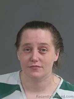 Mugshot of BREANN WELLS booked in Charleston County, South Carolina on May 7, 2026