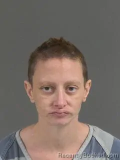 Mugshot of Megan Brenda Davies booked in Charleston County, South Carolina on August 26, 2026