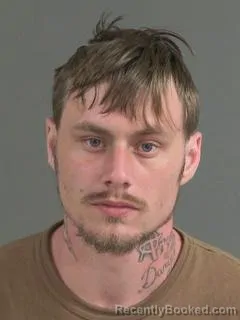 Mugshot of JOSHUA PAUL TURNER booked in Charleston County, South Carolina on March 19, 2026