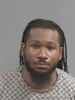 Mugshot of DONTAN RYEAL MATTHEWS booked in Charleston County, South Carolina on March 28, 2026