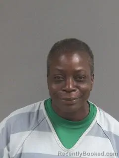 Mugshot of PRISCILLA ANN WILLIAMS booked in Charleston County, South Carolina on April 24, 2026