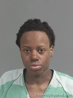 Mugshot of DESTINY CHANTRISE JACKSON booked in Charleston County, South Carolina on March 17, 2026