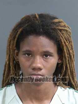 Mugshot of PATIENCE DAHL LUKE booked in Charleston County, South Carolina on March 29, 2026