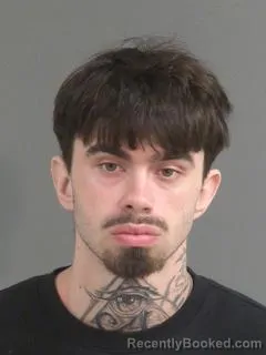 Mugshot of AUSTIN COLE VANWASSHENOVA booked in Charleston County, South Carolina on March 23, 2026