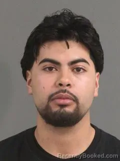 Mugshot of REYNALDO LOPEZ
