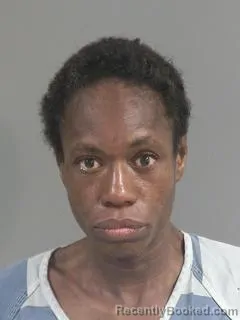 Mugshot of SAMANTHA LORRAINE IRONS booked in Charleston County, South Carolina on April 23, 2026